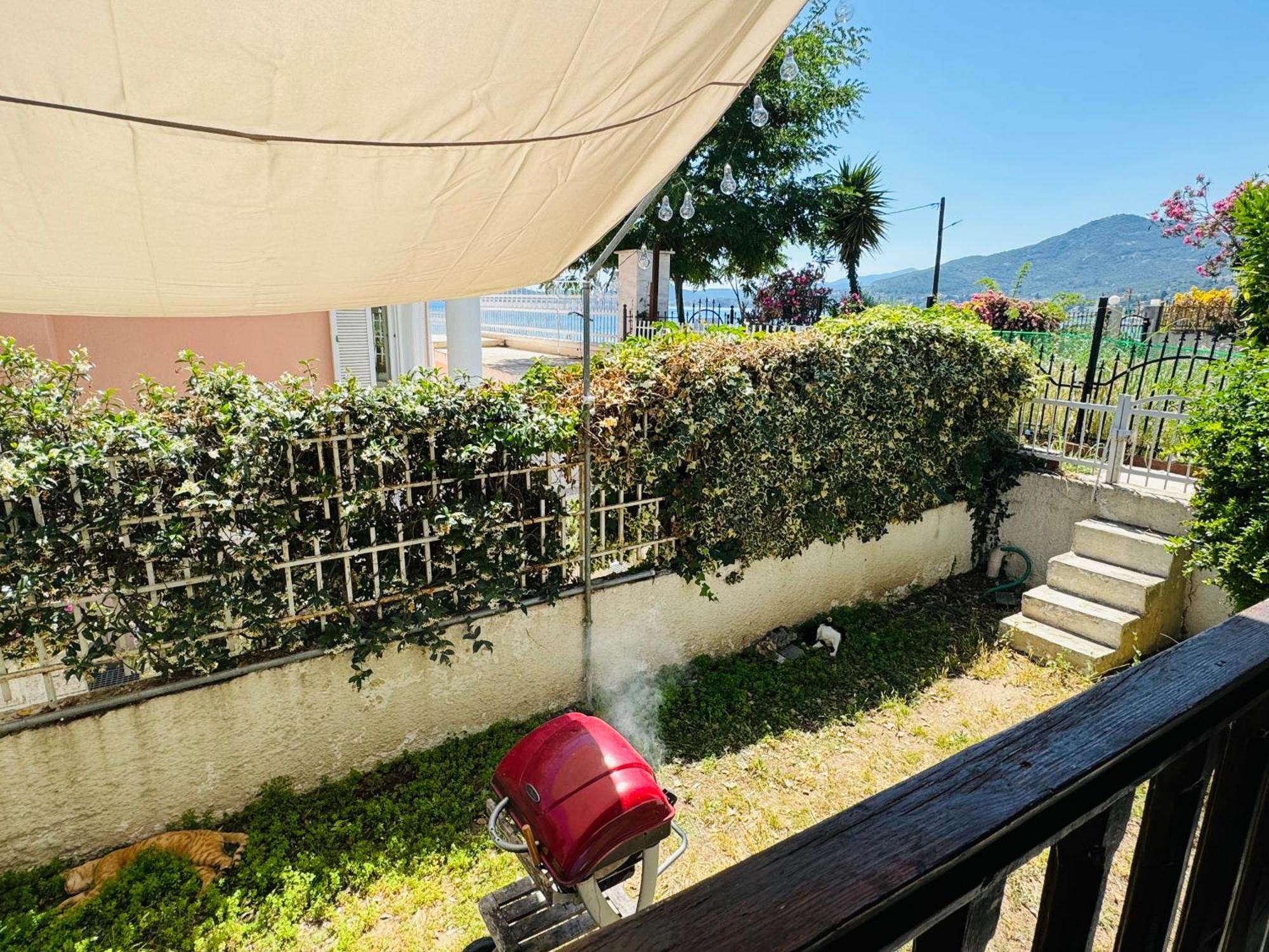 Villa Harmony PalaiónTsiflíkion Exterior foto
